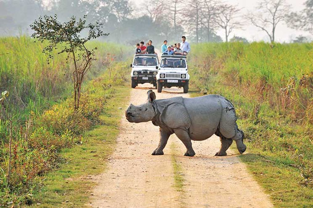 Assam – The Land of Endless Wonder